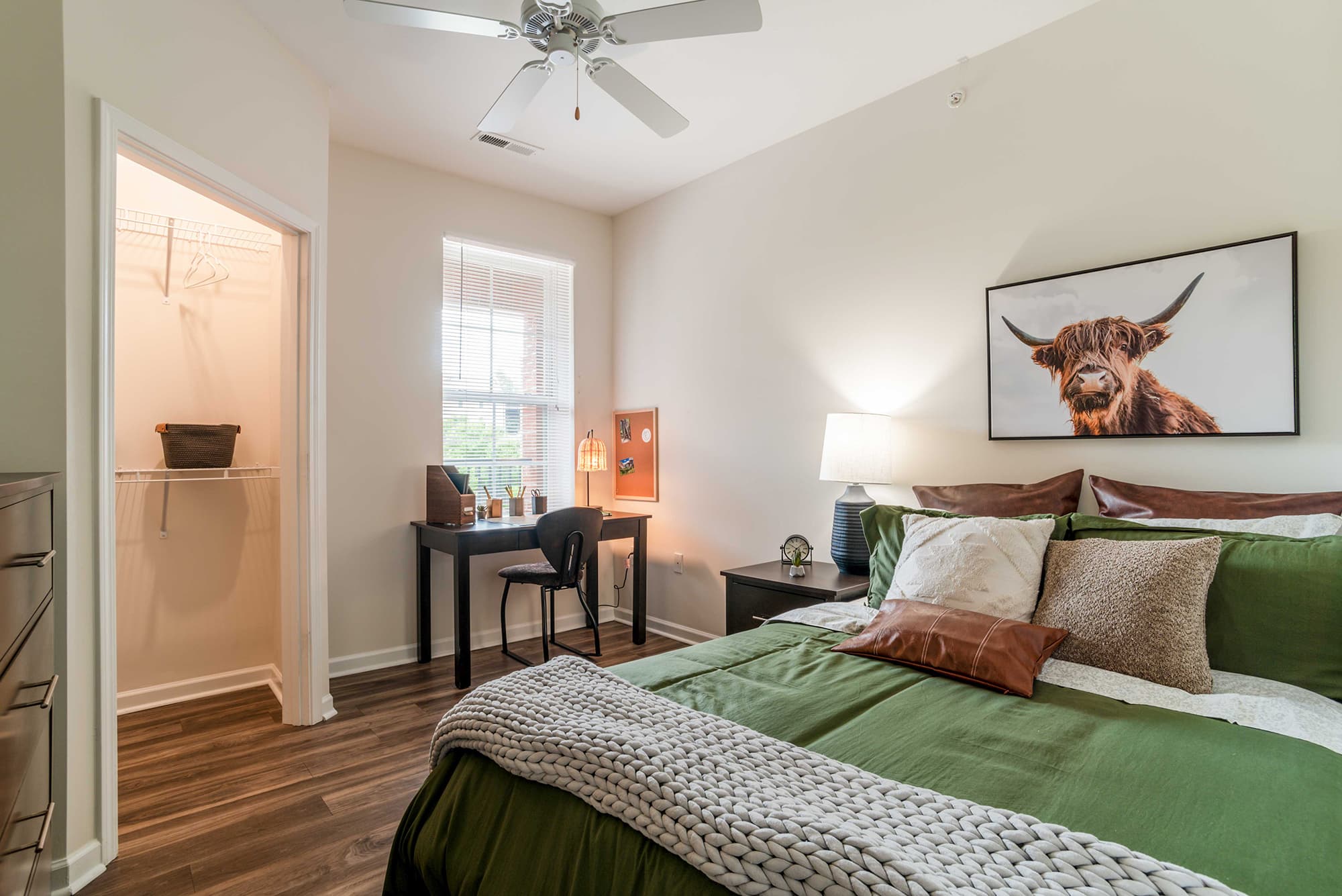 the-province-greensboro-apartments-near-uncg-fully-furnished-bedroom